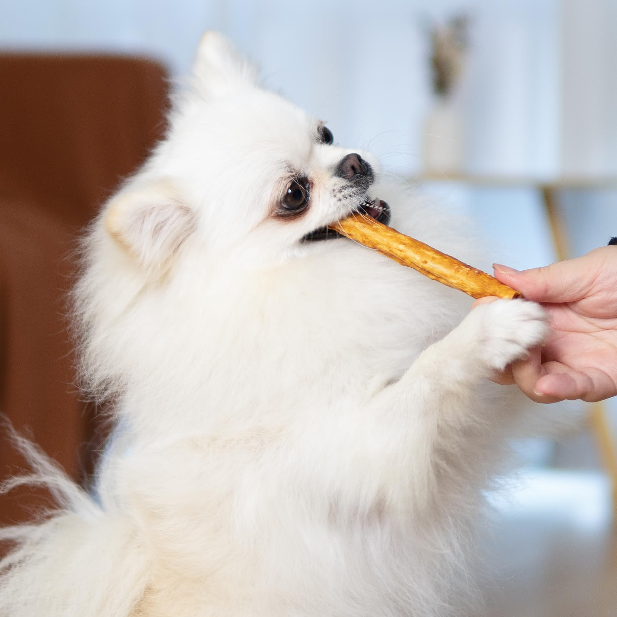 MON2SUN collagen sticks are low fat and high protein snacks