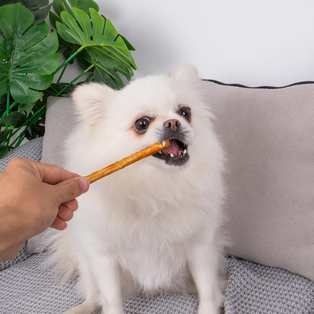 MON2SUN sticks used as training reward for dogs