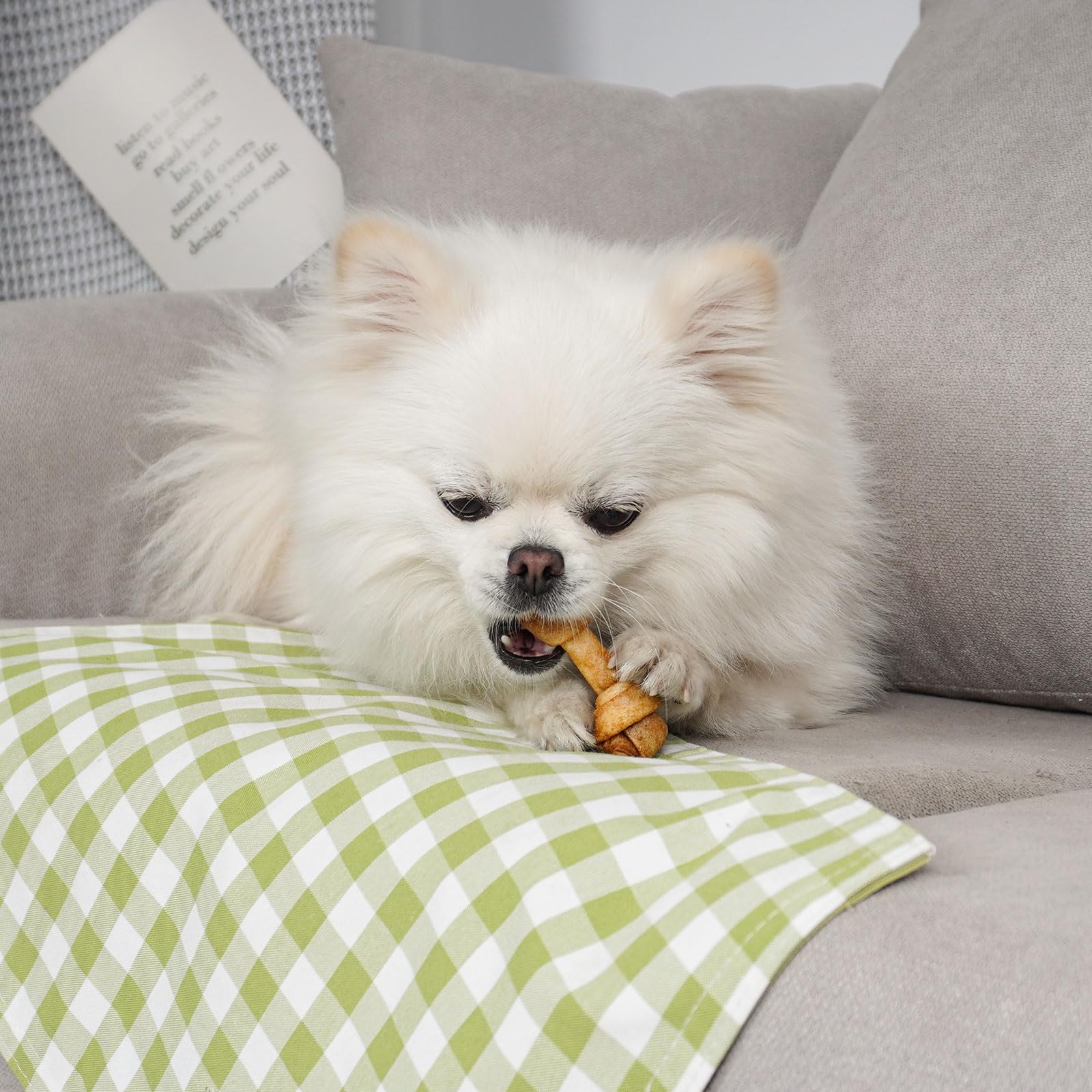 MON2SUN bone use may support dental care and freshness