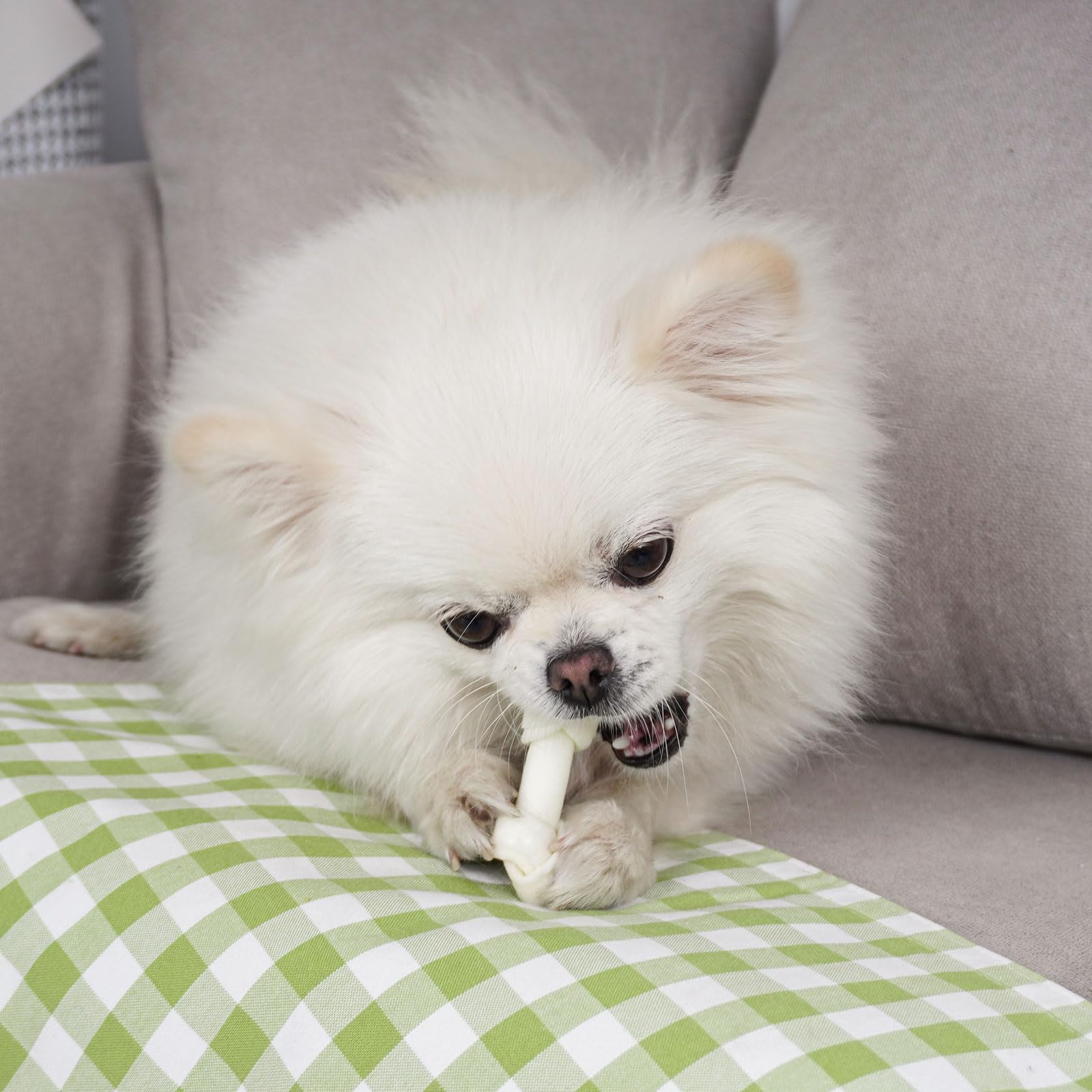 MON2SUN dental-friendly chew benefits visualized through knot bone image