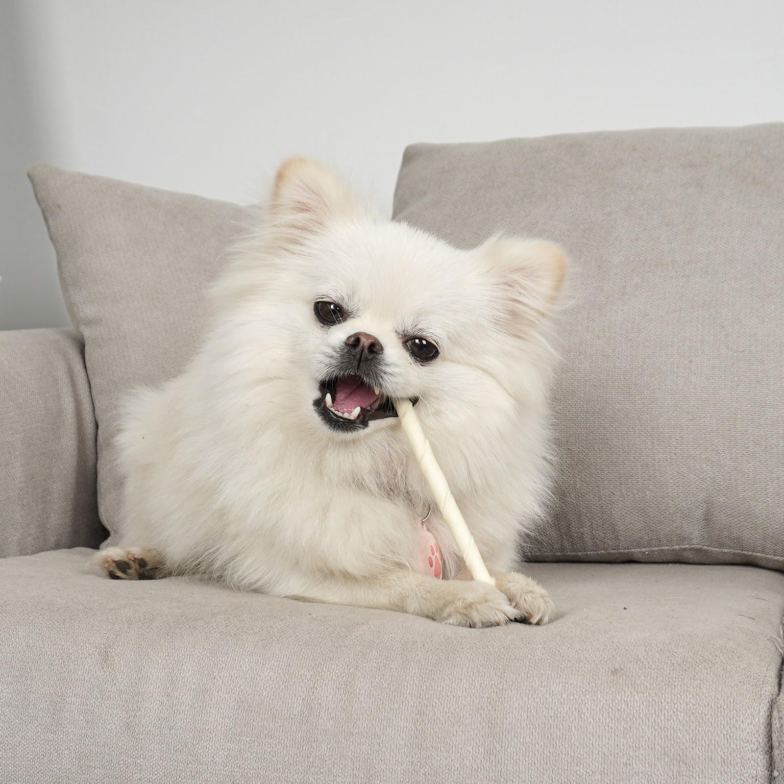 MON2SUN natural color rawhide stick highlights simple wholesome treat.