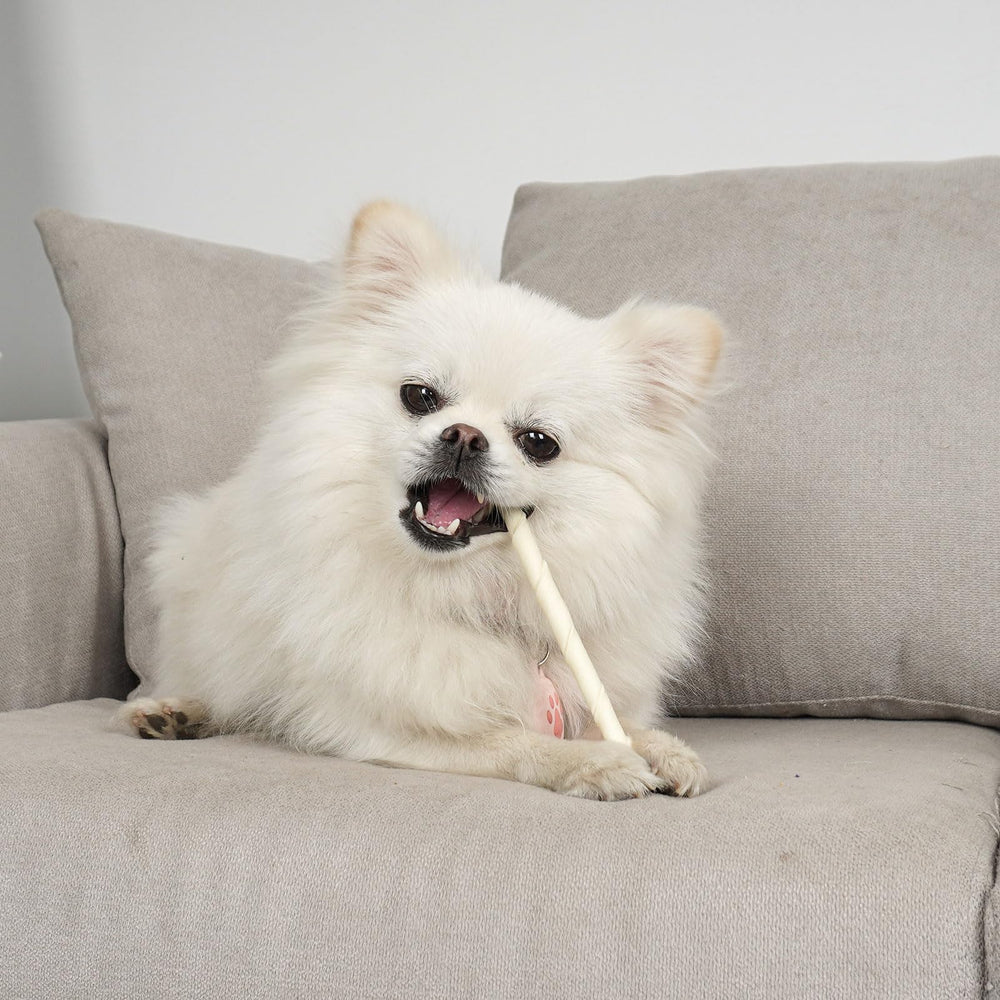 MON2SUN natural color rawhide stick highlights simple wholesome treat.