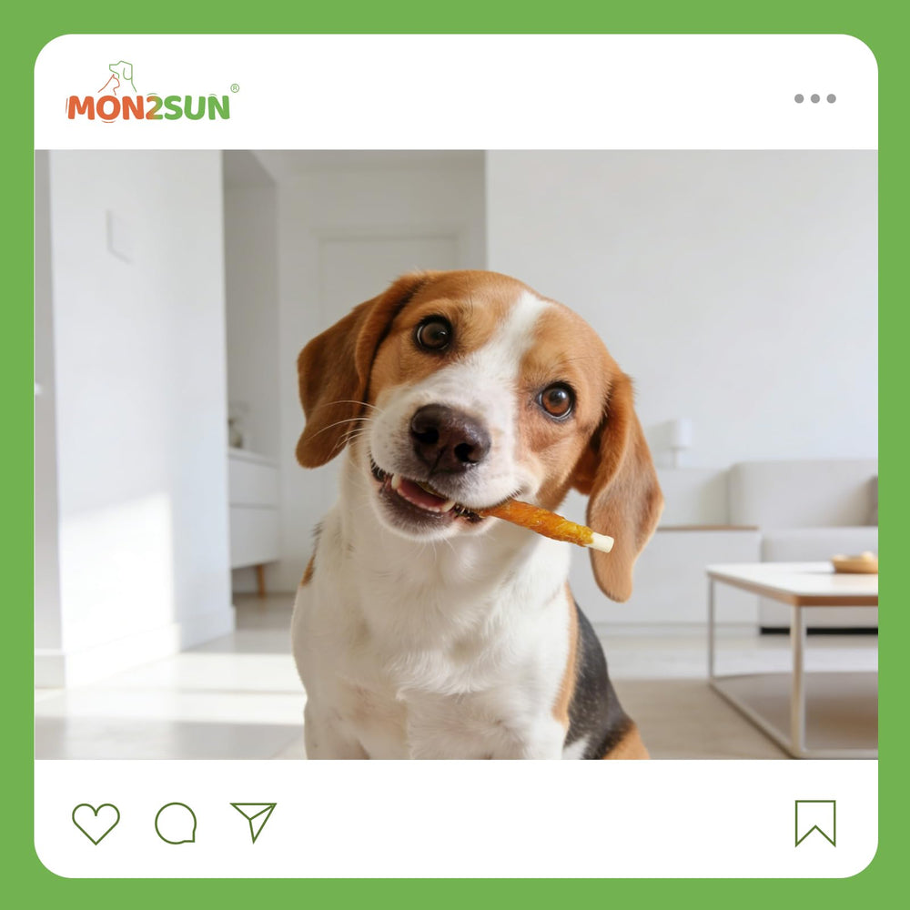 MON2SUN after-sales-support image communicates trusted service and support