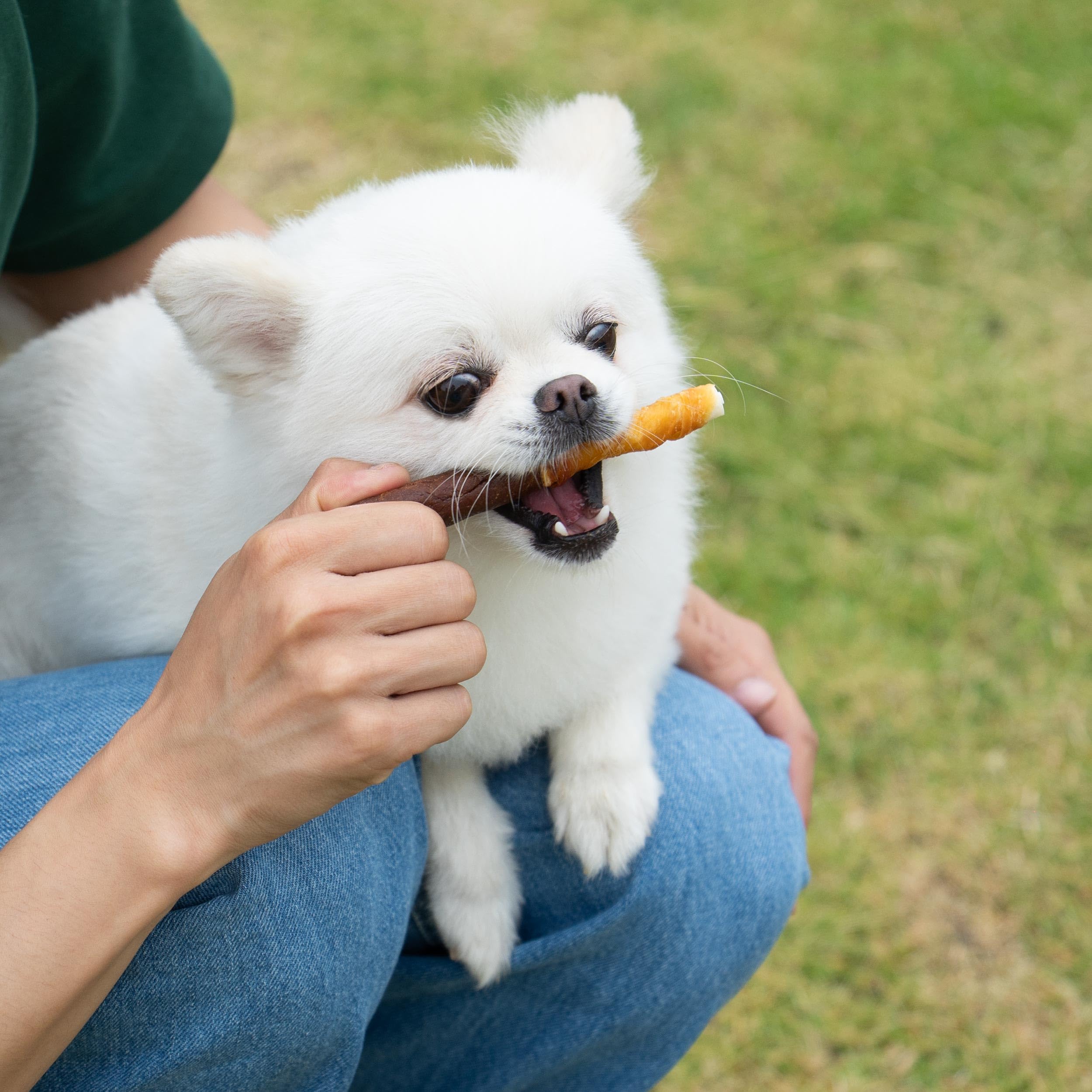 MON2SUN dental care chew suggesting potential plaque reduction with chewing