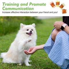 Dog enjoying MON2SUN training rewards during a training session.