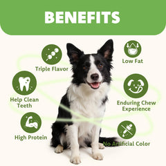 Medium dog chewing MON2SUN stick during playtime