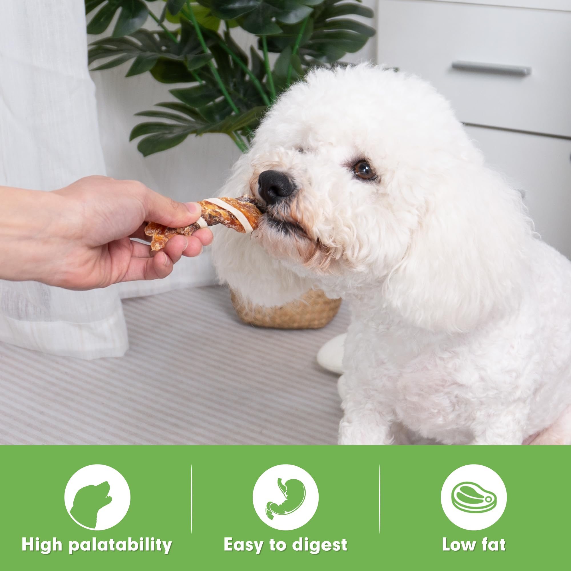 MON2SUN small dog serving scene shows portion control and enjoyment