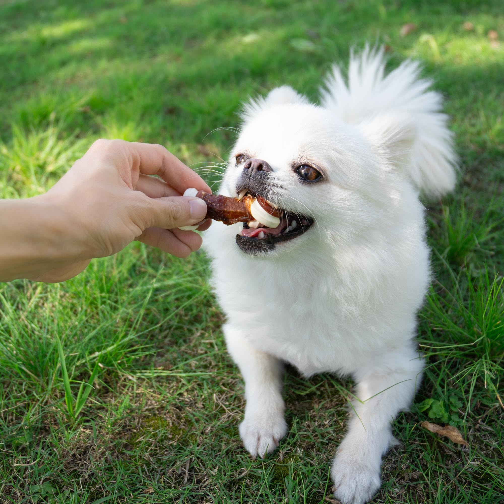 MON2SUN over 20 years of expertise in dog treats.