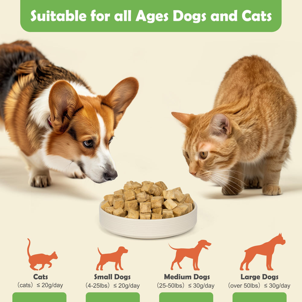 MON2SUN portable-pack, convenient travel snack for pets