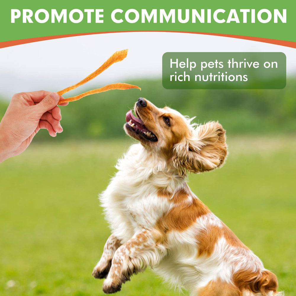 Grain-free MON2SUN dog snacks designed for sensitive stomachs.