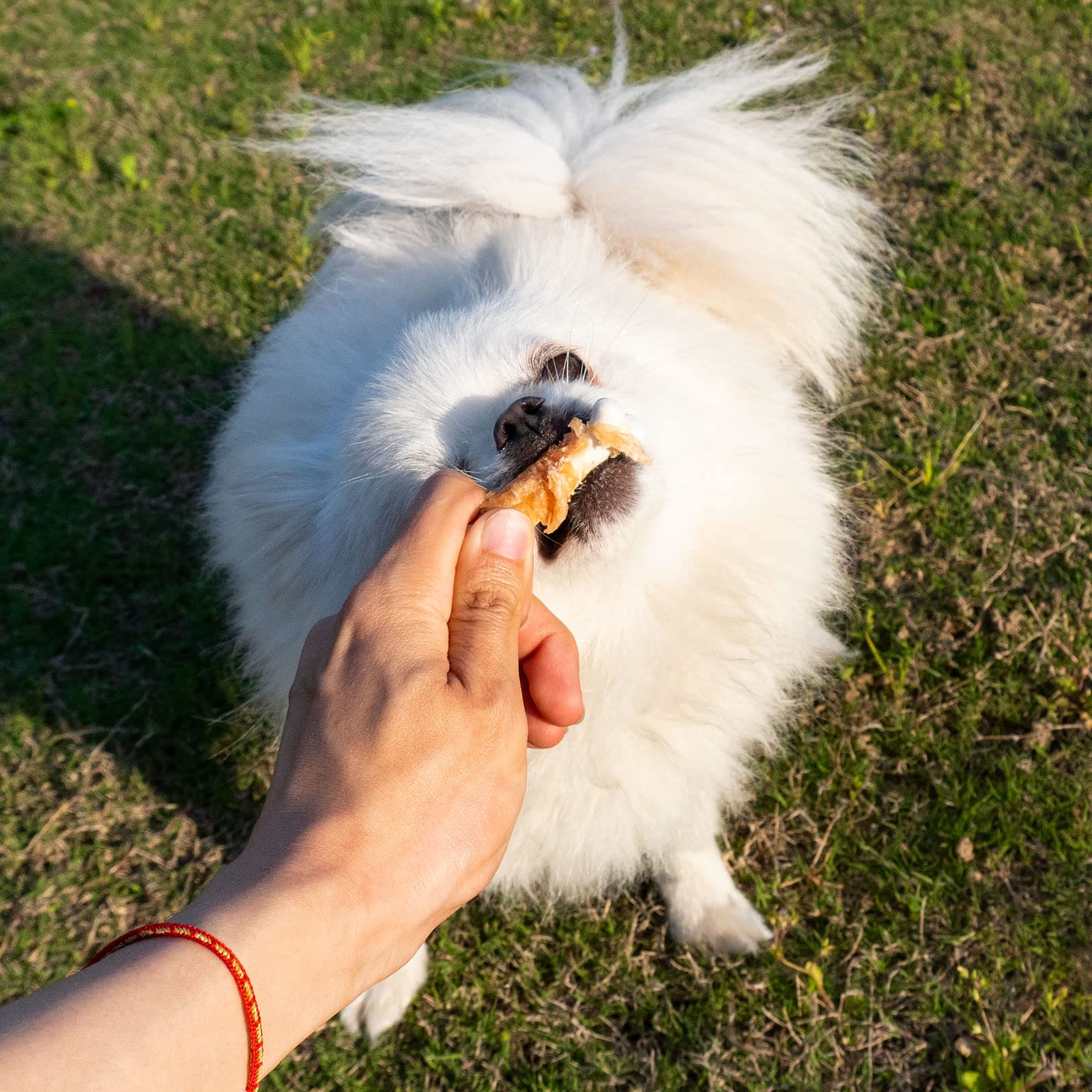 Healthy rawhide-free dog snack with high protein.