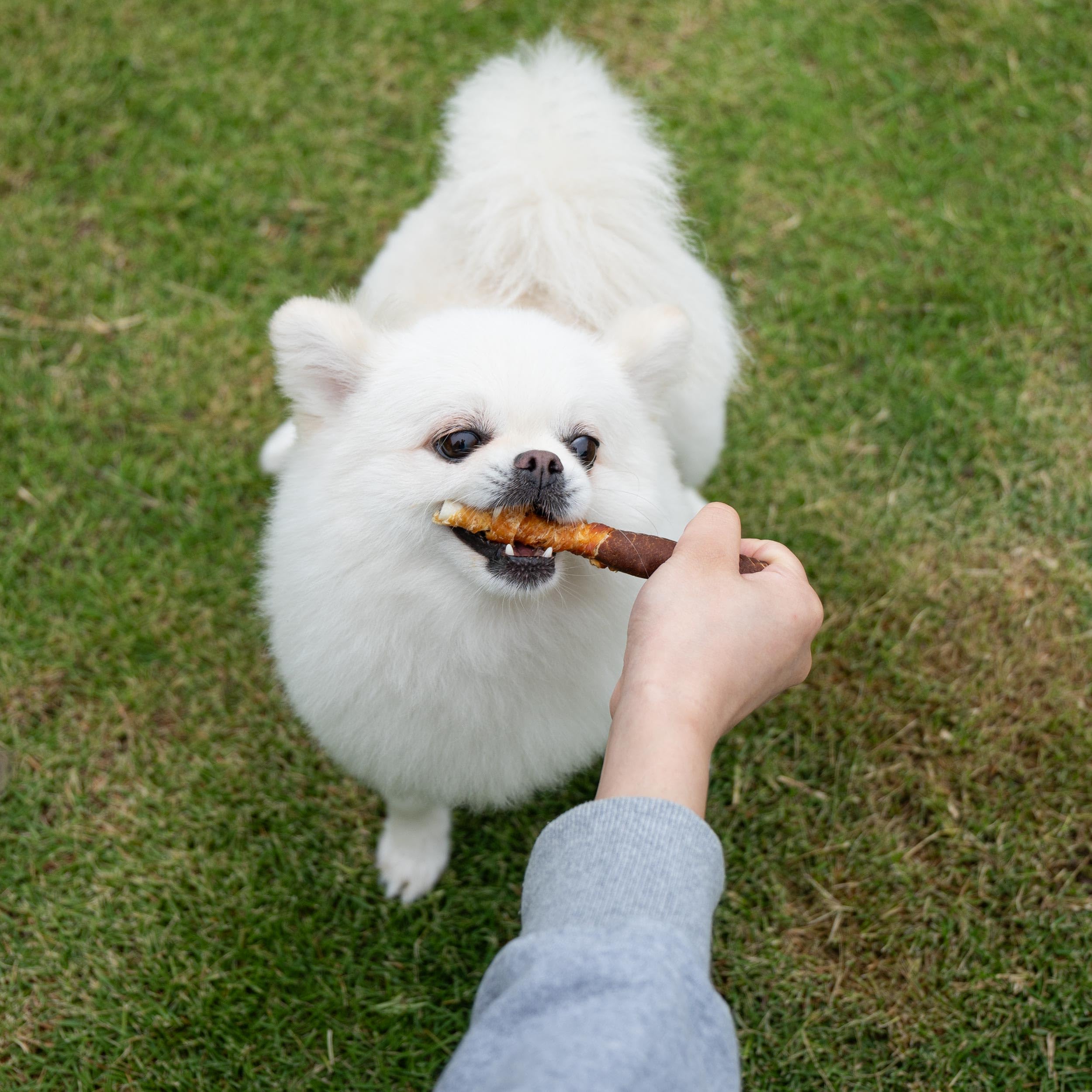 MON2SUN low-fat, high-protein chew for daily enjoyment.