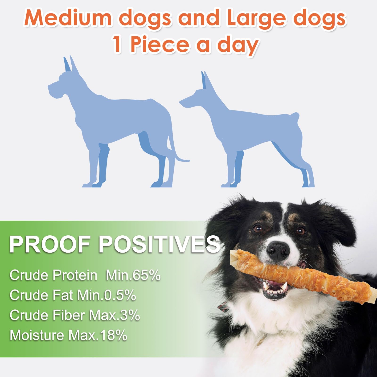 MON2SUN long-lasting chew session with a dog at play