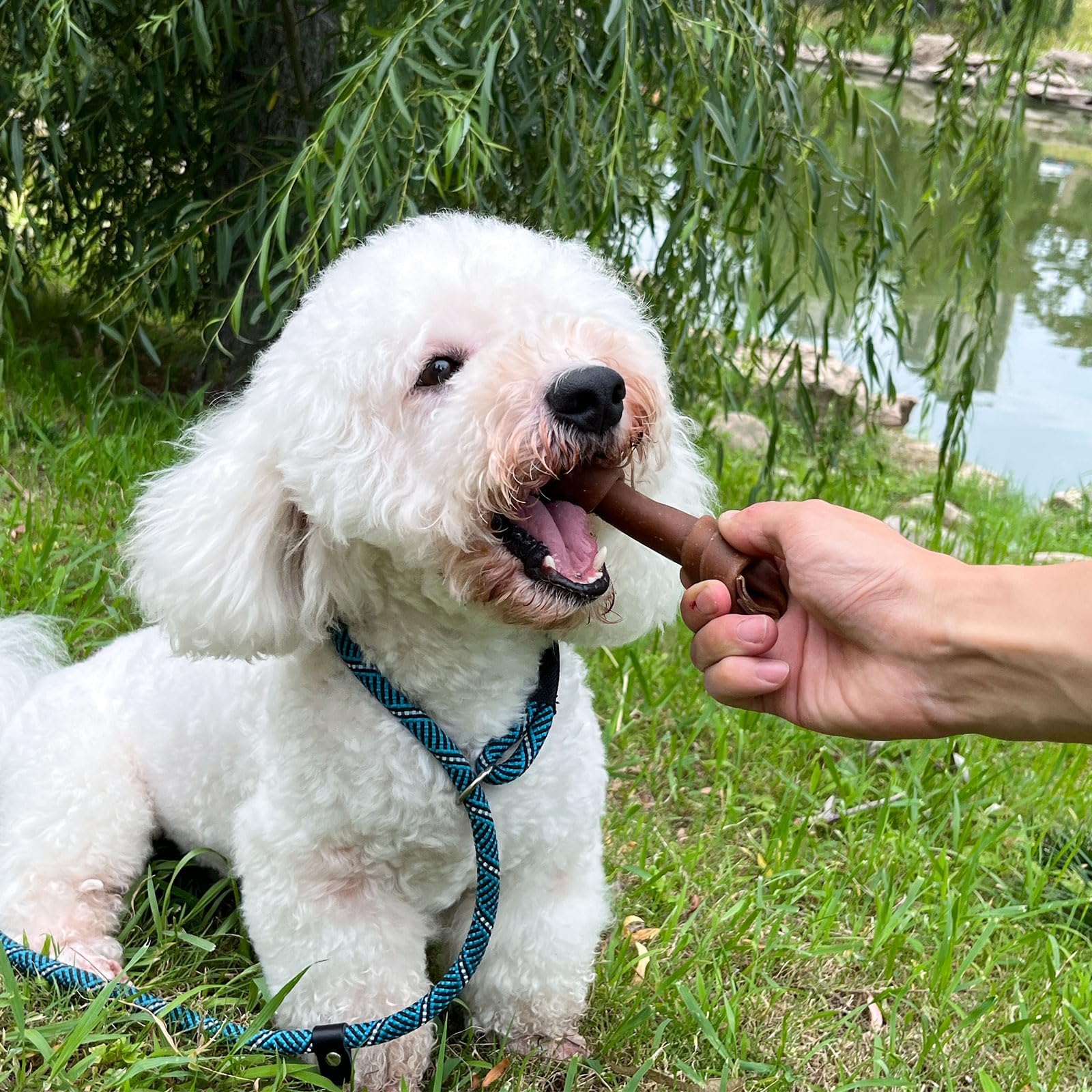 MON2SUN Natural Ingredients Dog Treats 12-count for daily snacking.