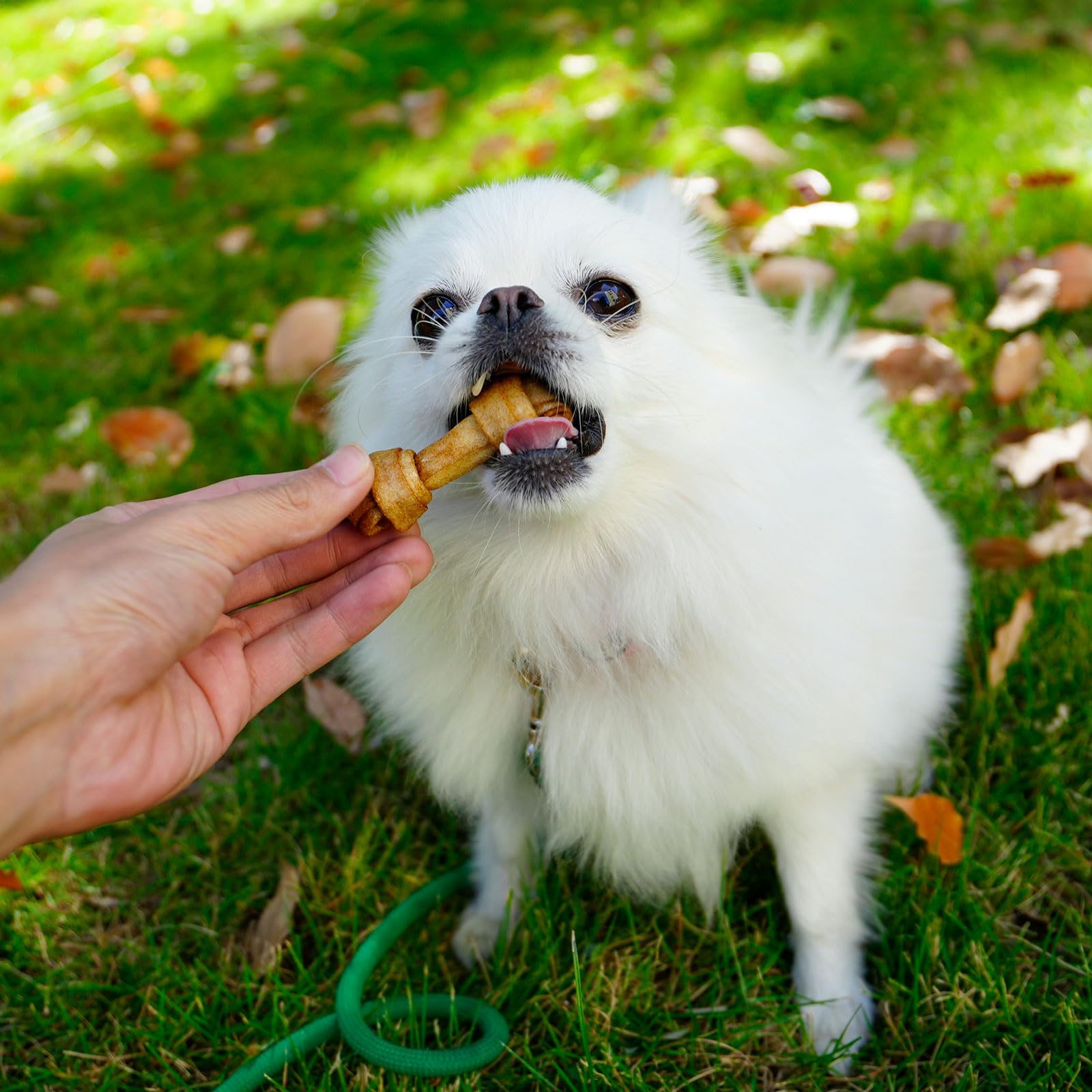 No artificial colors MON2SUN rawhide bone option