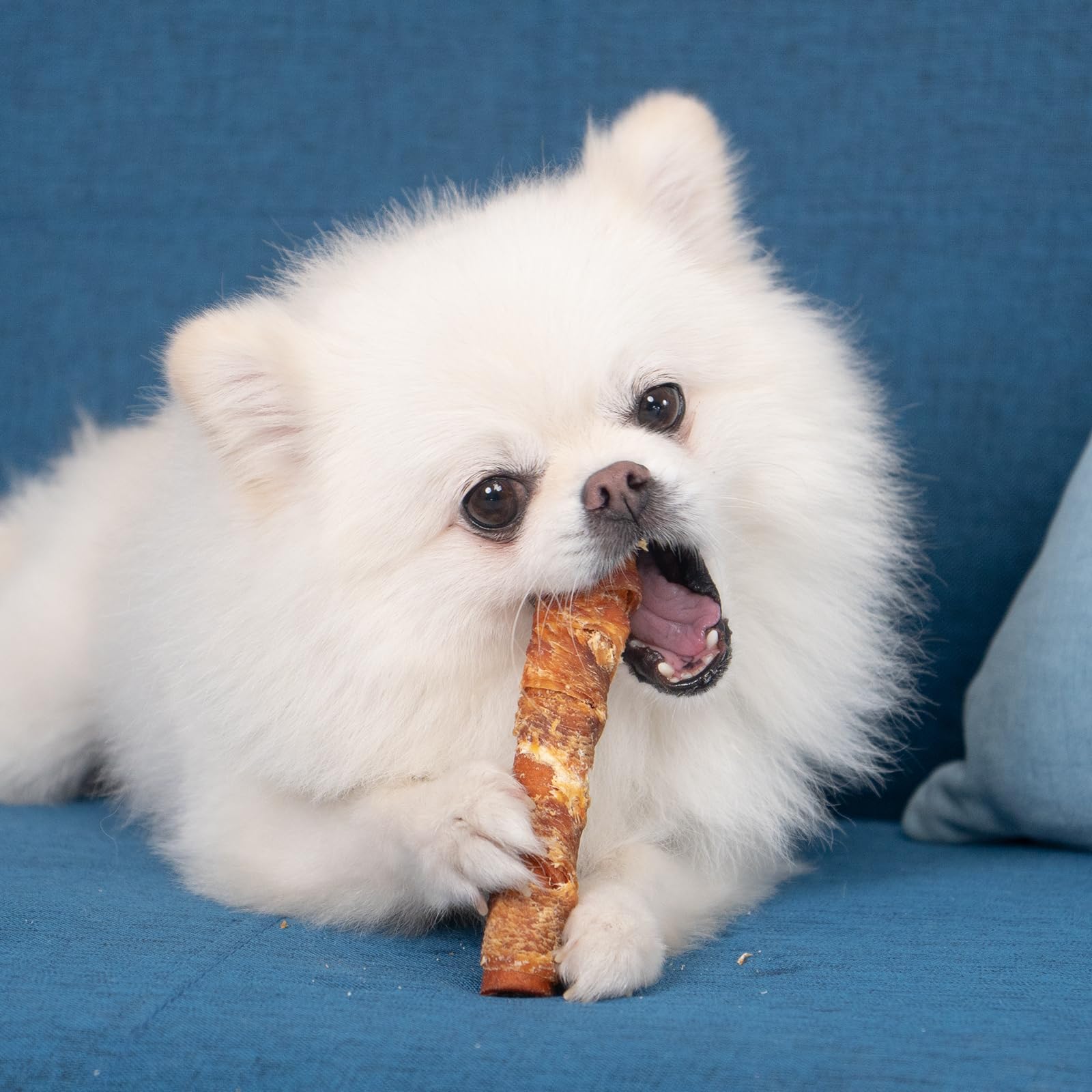 MON2SUN dog enjoying chew with a firm, savory texture.