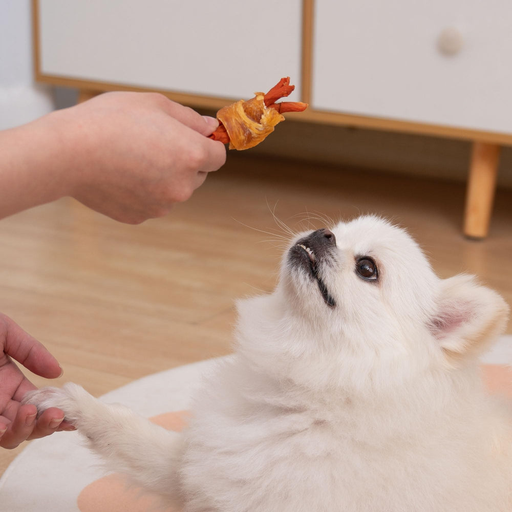 MON2SUN natural, low-fat treat option for light chewers.