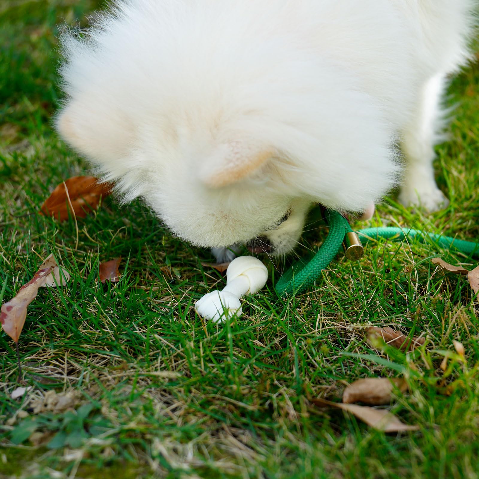MON2SUN small-dog teeth chew texture supports enjoyable gnawing sessions.