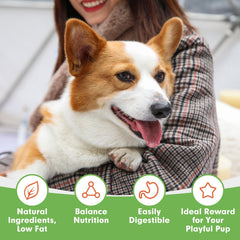 MON2SUN soft training treats for small dogs are ideal for gentle rewards.