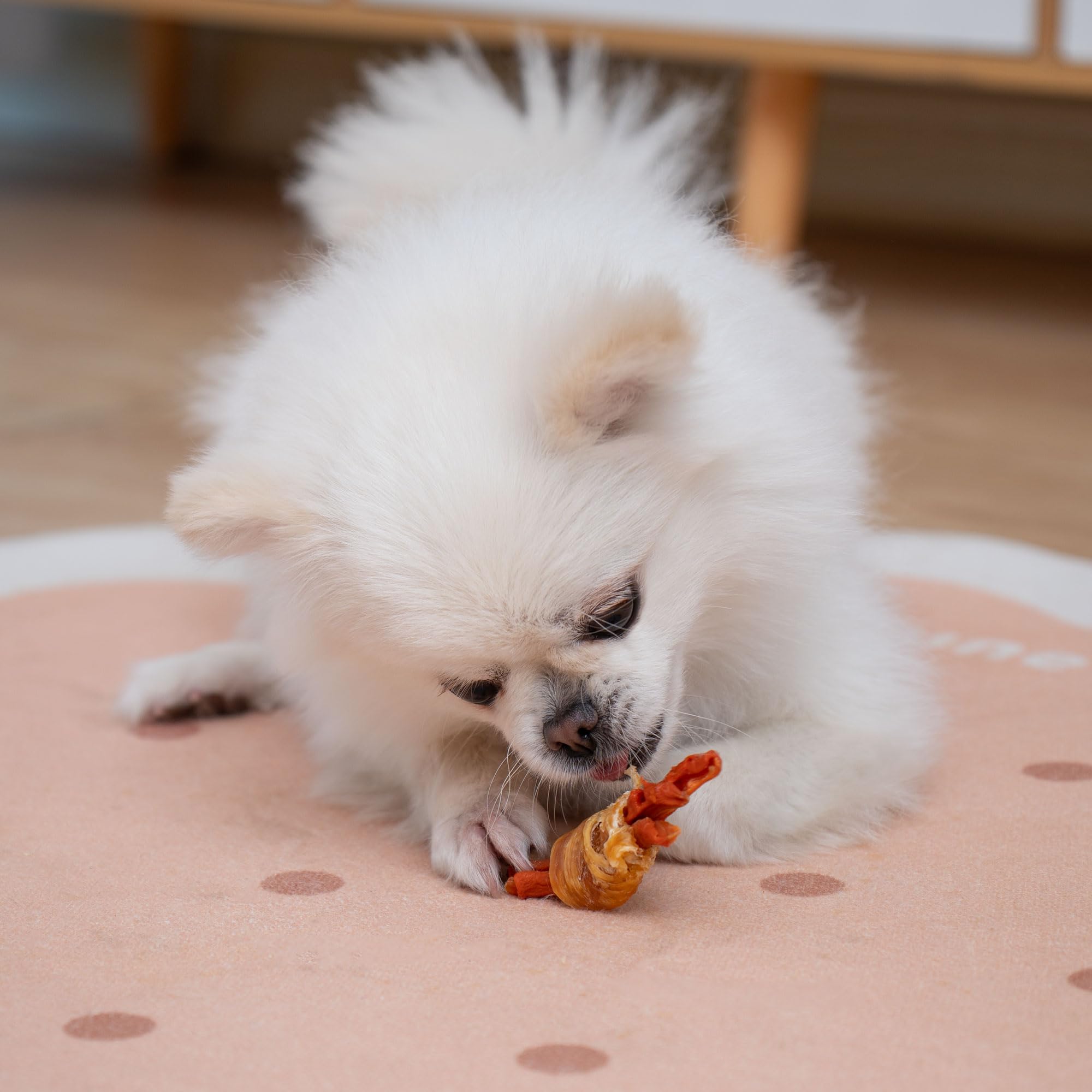 MON2SUN training rewards dog treats; great for training sessions.