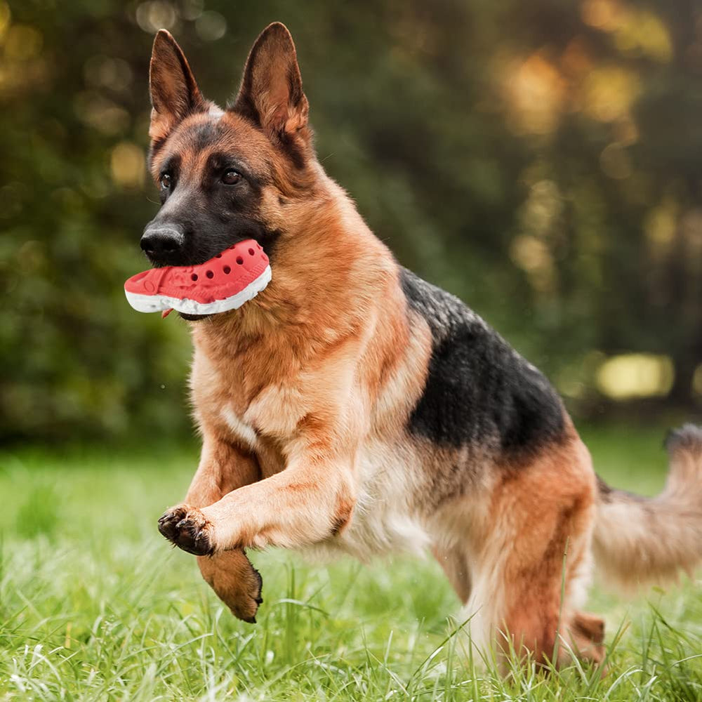 MONDOTOY easy-clean chew toy requires minimal maintenance after use