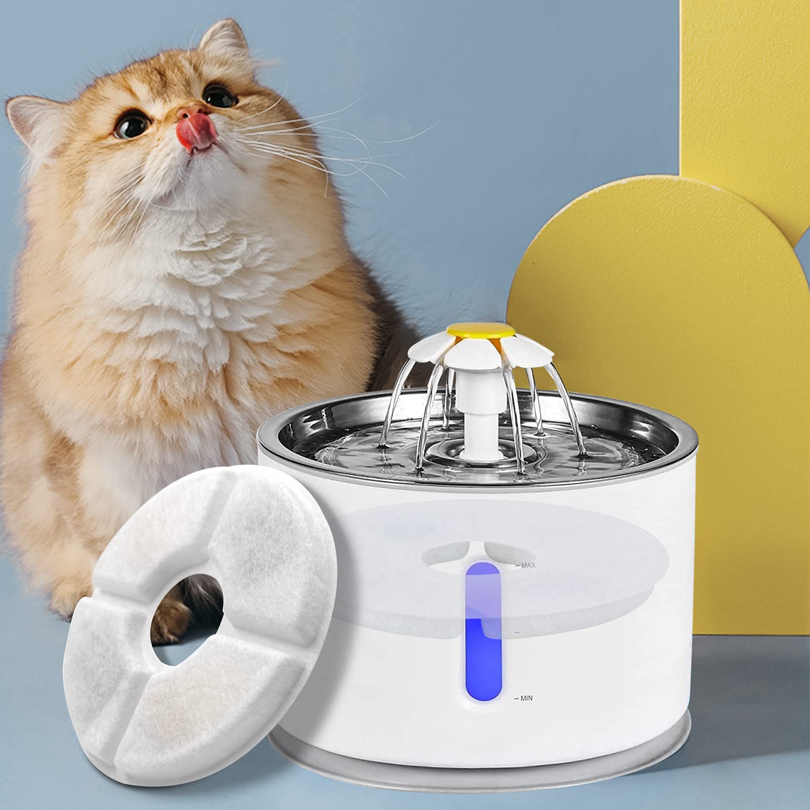 Monsin hydration friendly cat fountain setup supports at home use.