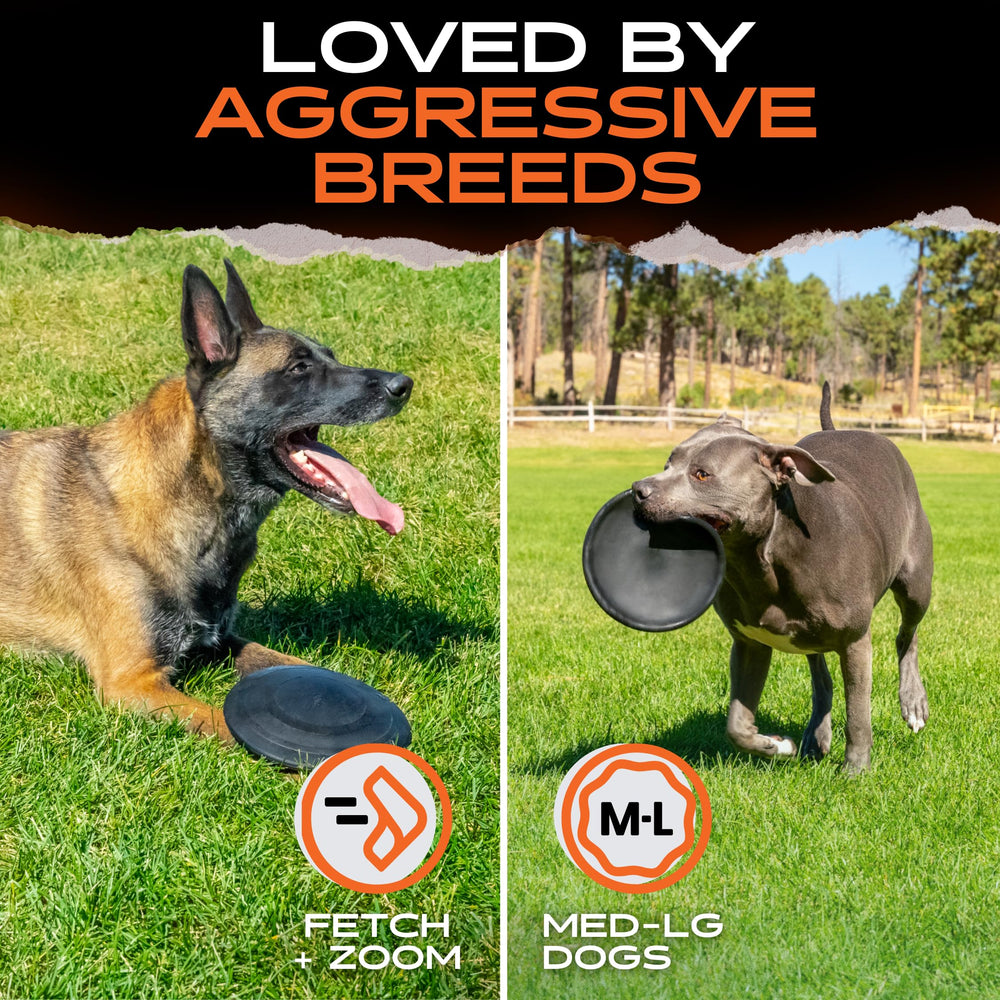 Monster K9 Aero Disc medium and large size fits bigger dogs