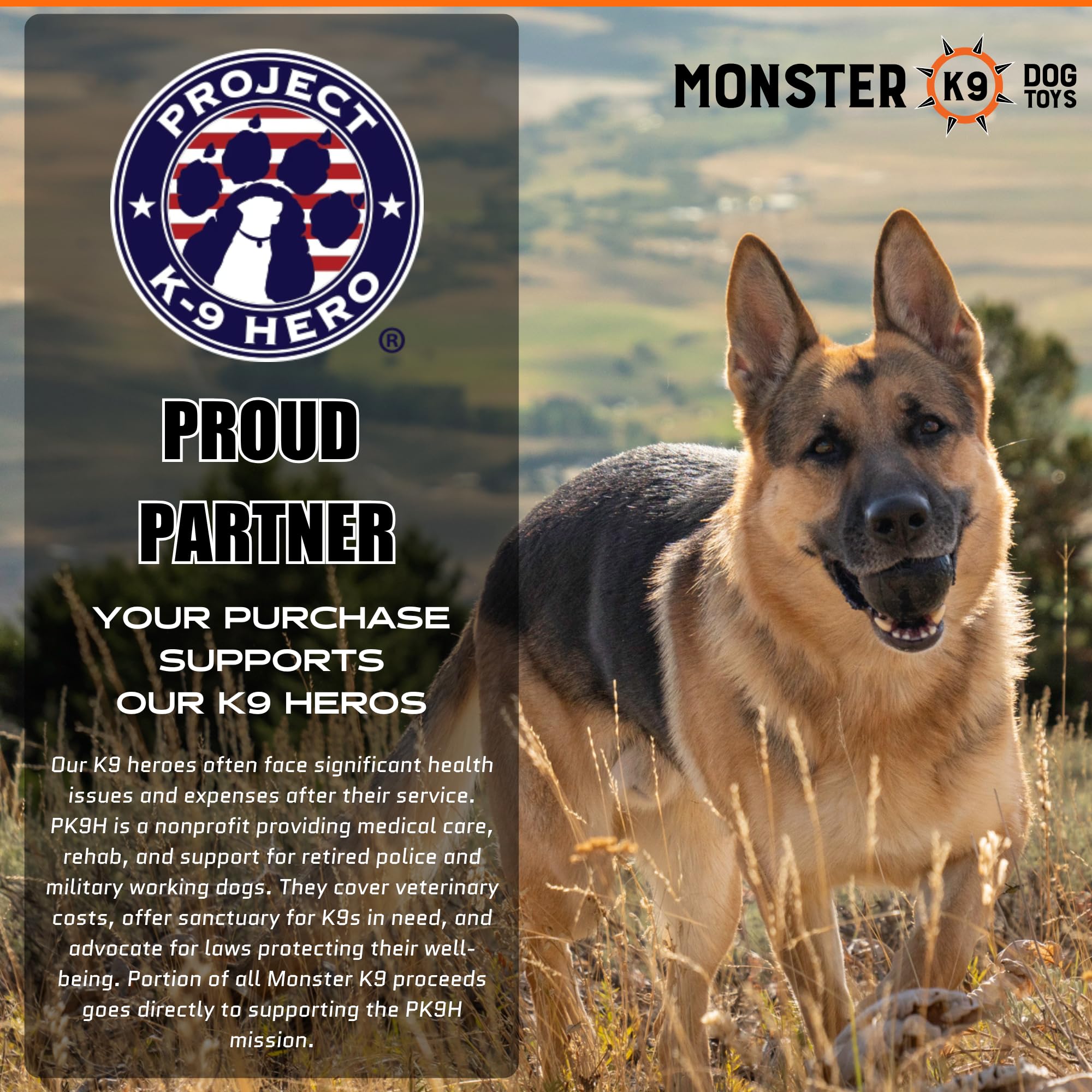 Monster K9 Indestructible Ball in action during fetch with safe chewing and bounce.