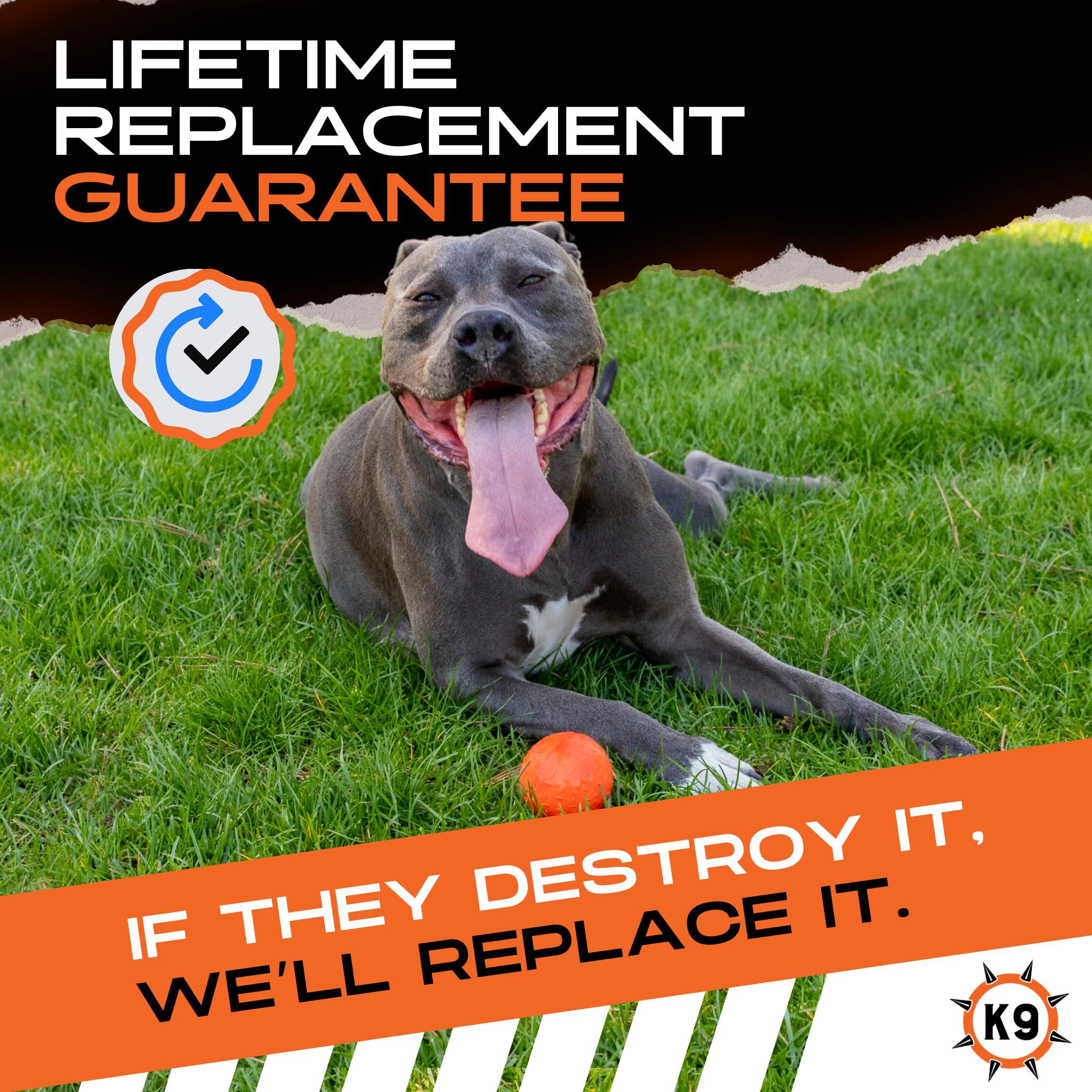 Monster K9 indestructible ball in action during fetch for outdoor fun