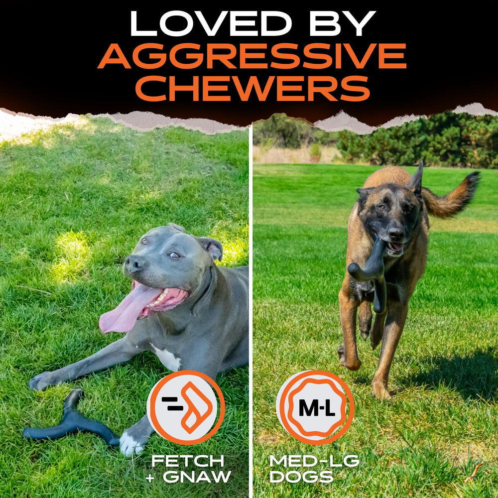 Monster K9 indestructible toy ready for tug and fetch sessions.