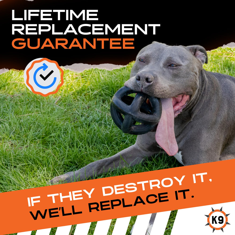 Monster K9 Ring Ball with textured surface for grip and fetch.