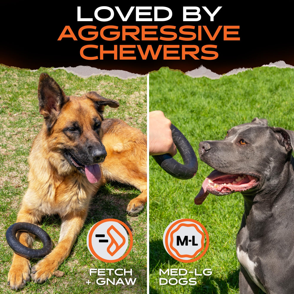 Monster K9 ring dishwasher-safe for quick post-play cleanup