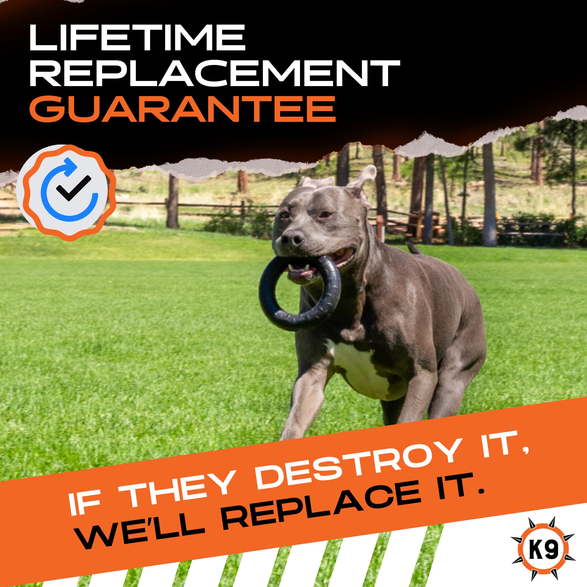 Monster K9 ring is USA-made in Erie for quality manufacturing