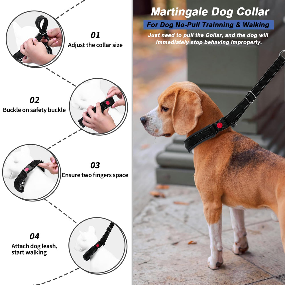 Monstoyo adjustable buckle collar enables easy on/off and snug fit