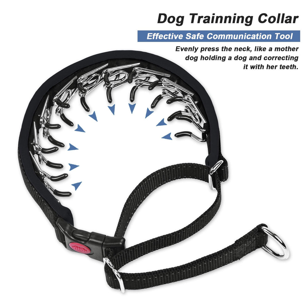 Monstoyo Martingale collar suitable for small to large dogs.