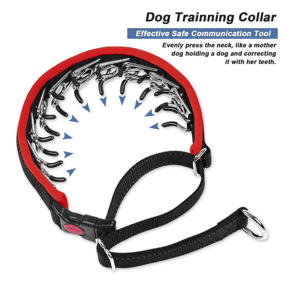 Monstoyo Martingale Collar supports gentle training without restricting breathing or causing discomfort.