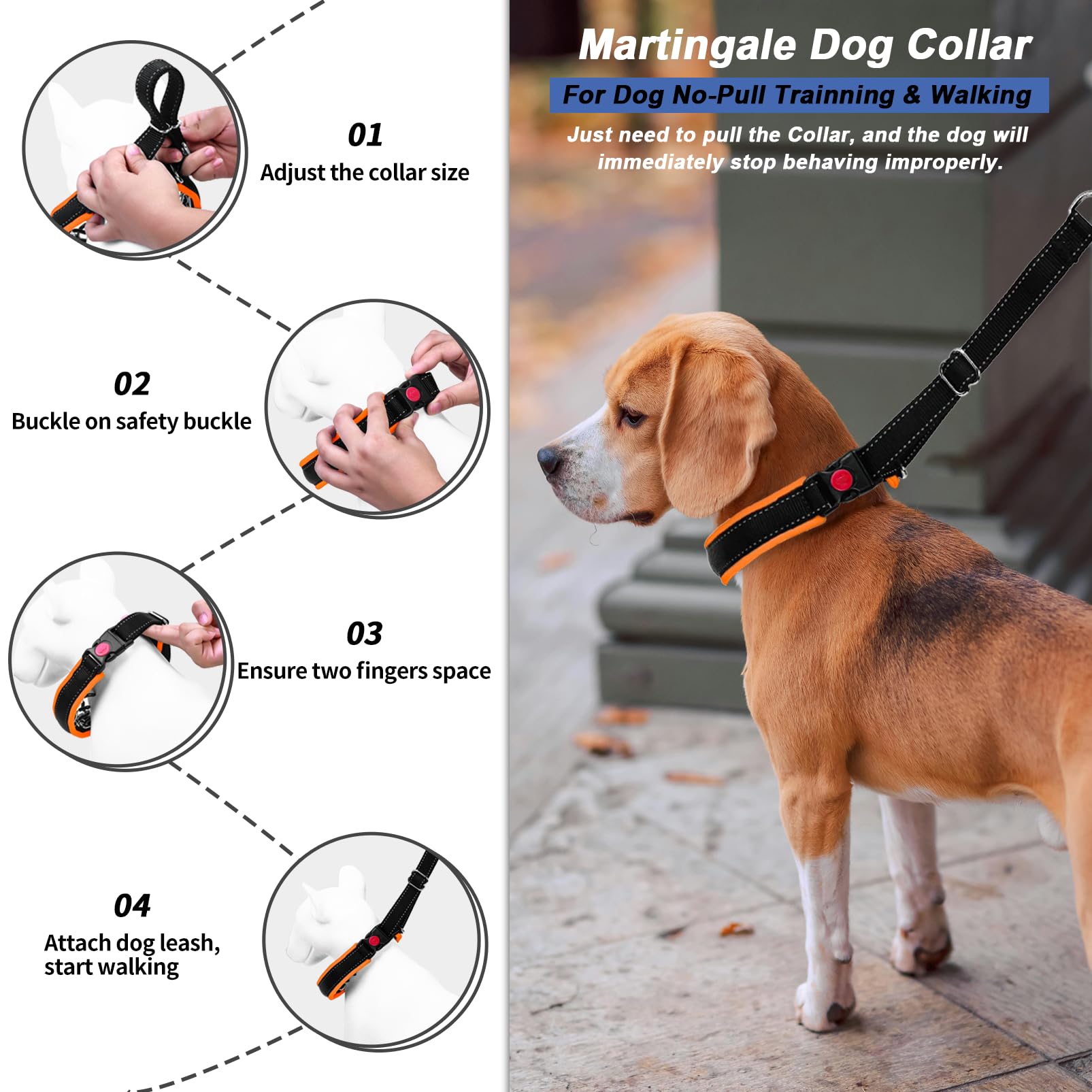 Monstoyo Martingale collar quick-release buckle for easy on/off during walks.