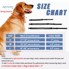 Monstoyo Martingale collar reflective strips for better night visibility.