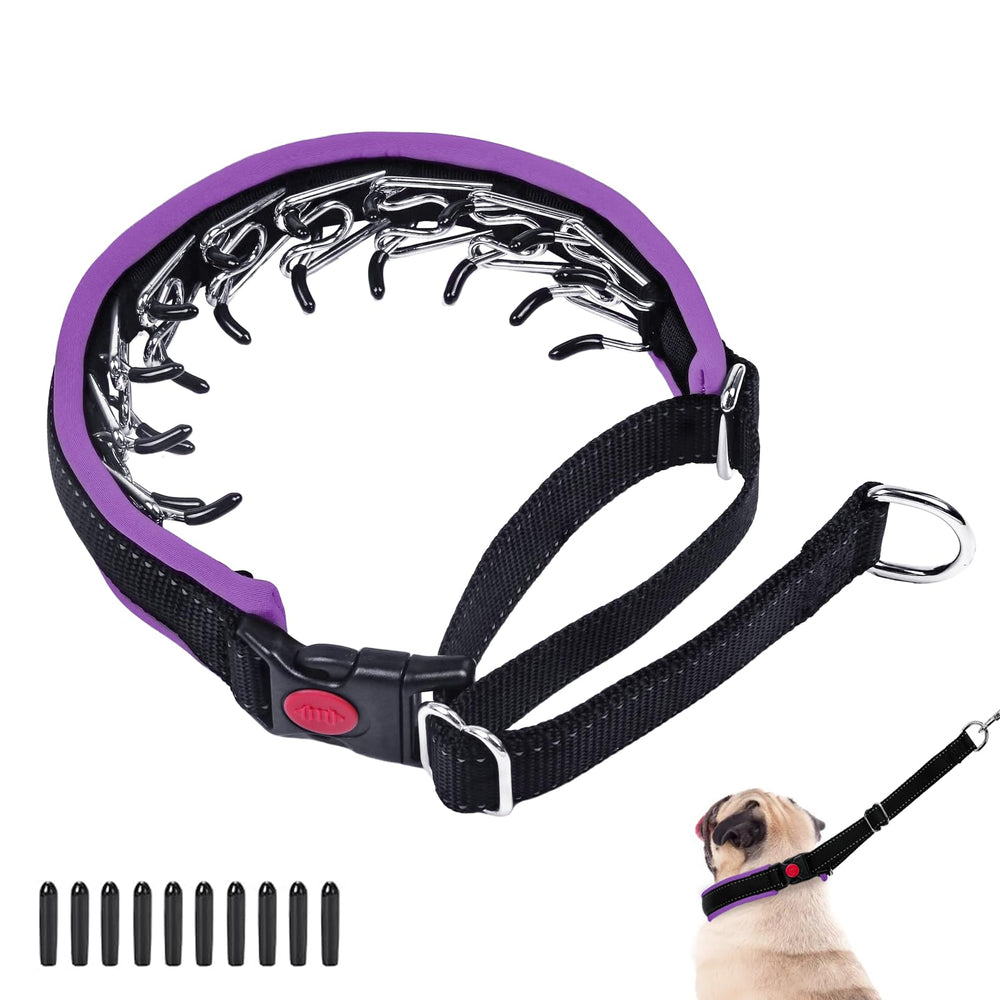 Monstoyo Martingale dog collar close-up buckle highlighting sturdy construction for daily walks.