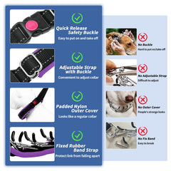 Monstoyo Martingale dog collar padded neoprene offers comfort during long training sessions.