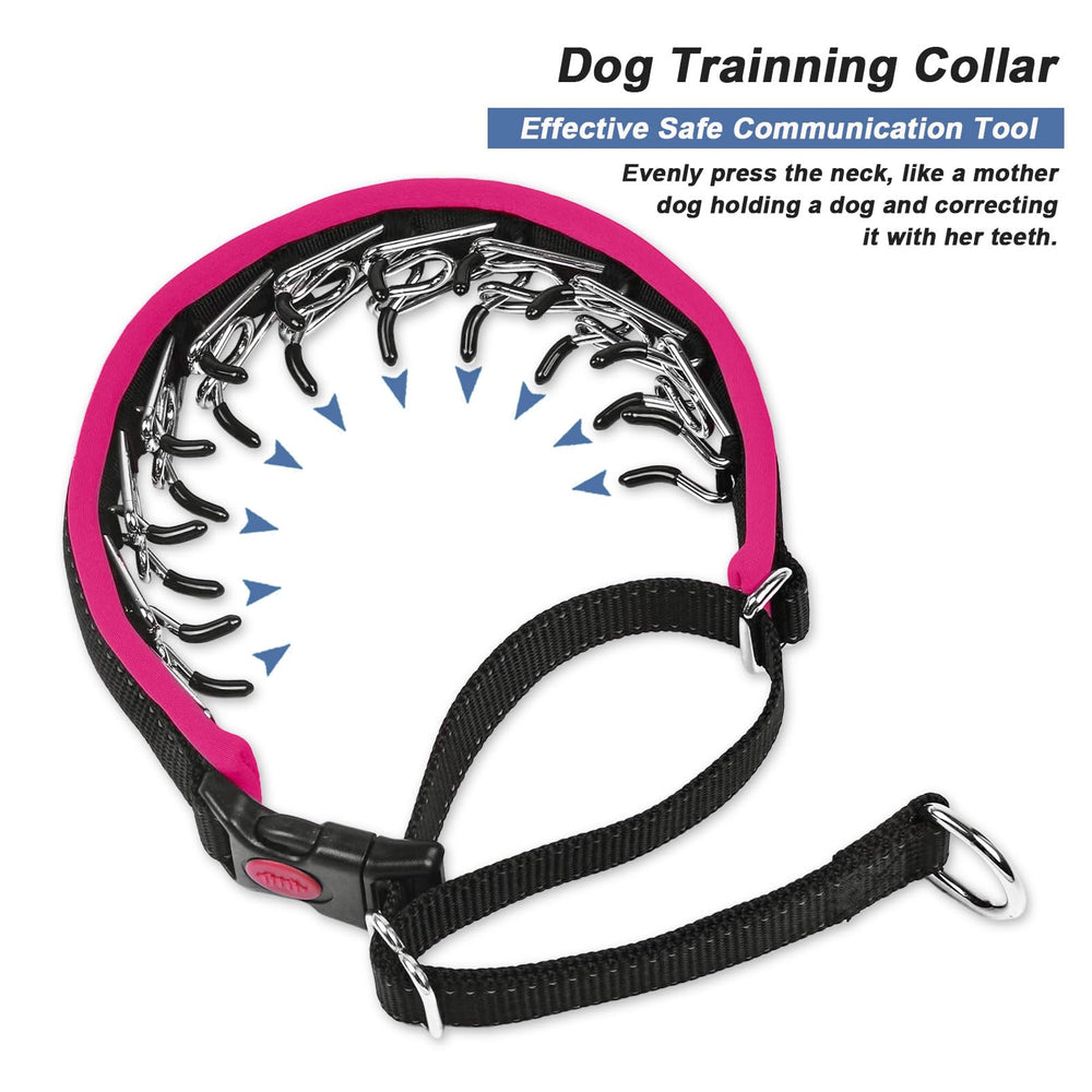 Monstoyo Hot pink collar adds stylish visibility for daytime walks.
