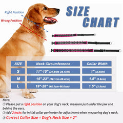Monstoyo Martingale reflective strips boost visibility during night walks.