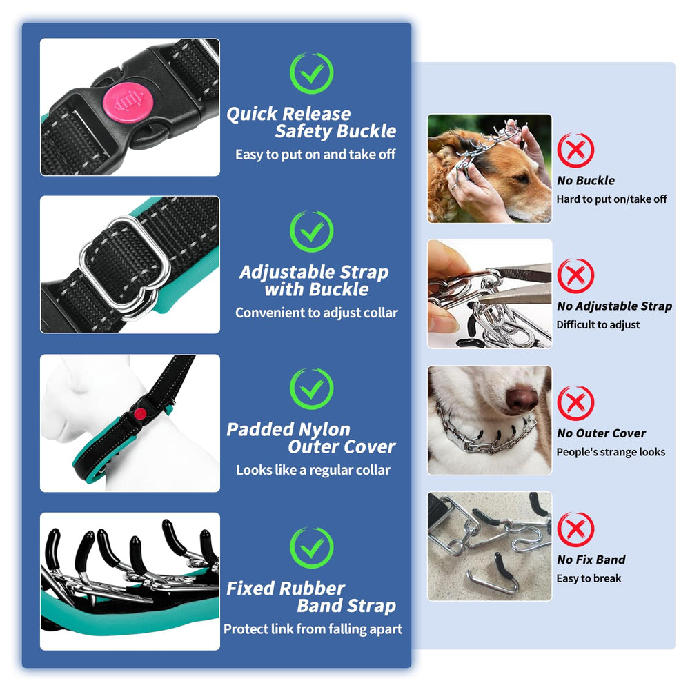 Monstoyo reflective strips on green collar boost visibility during night walks.