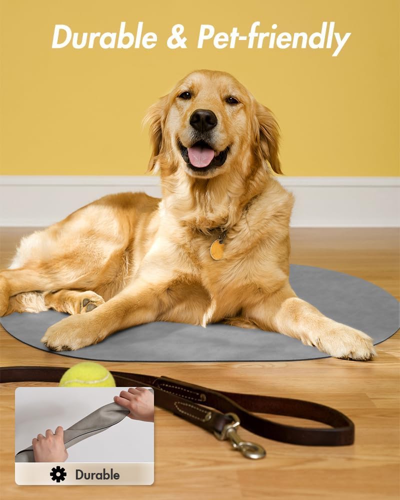 MontVoo recyclable materials offer responsible pet care