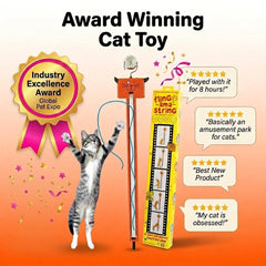 Award-winning Moody Pet Fling-ama-String showcases durable, engaging design.