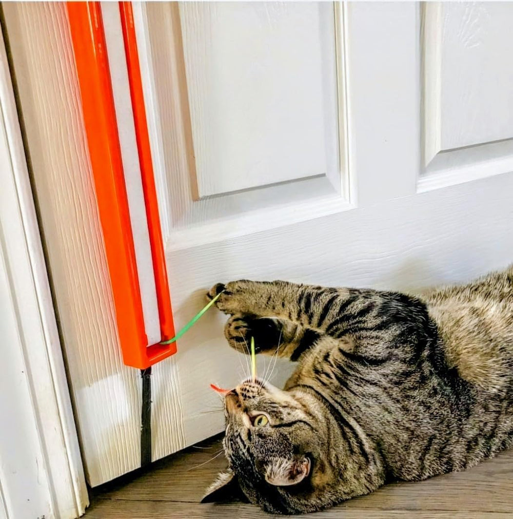 Battery-powered playtime with three AA batteries (not included) keeps cats active.