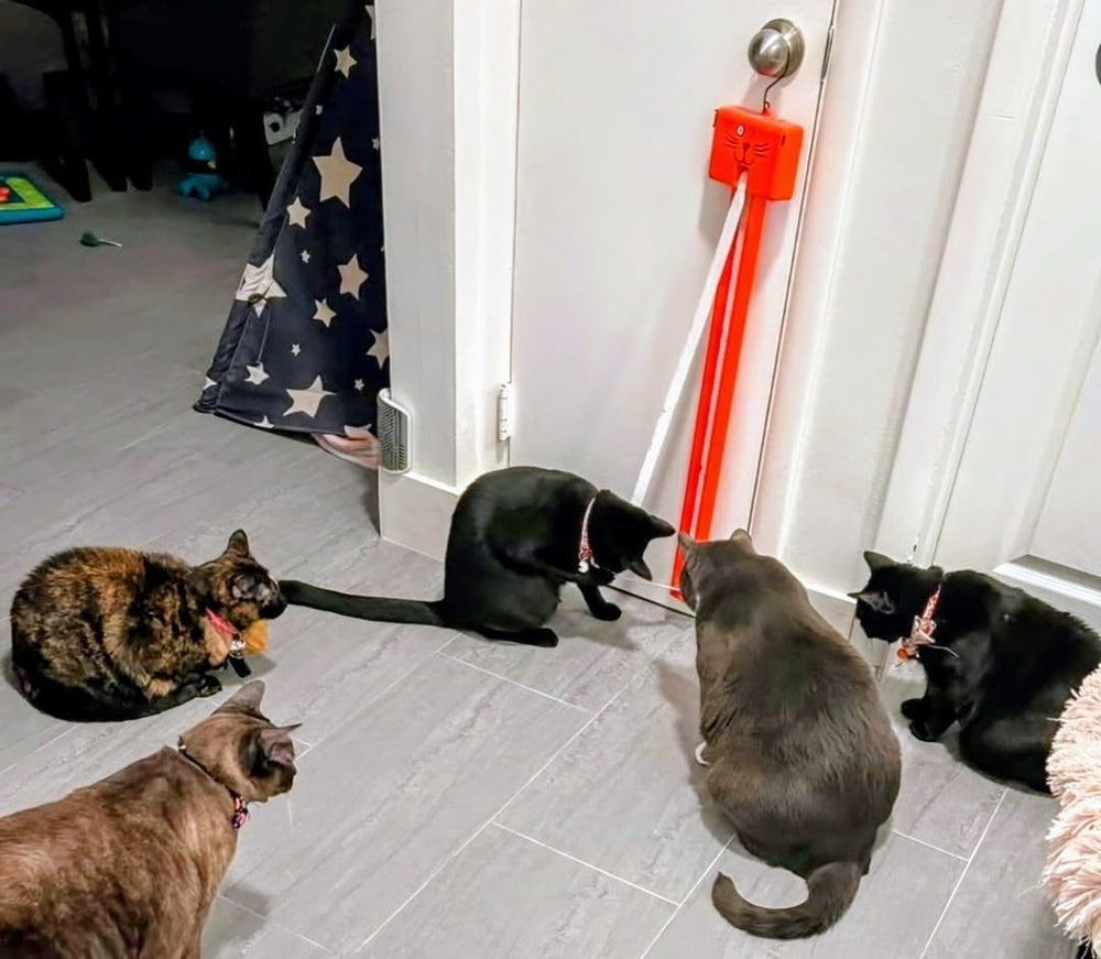Compact, door-hanging toy ideal for apartments and small spaces.