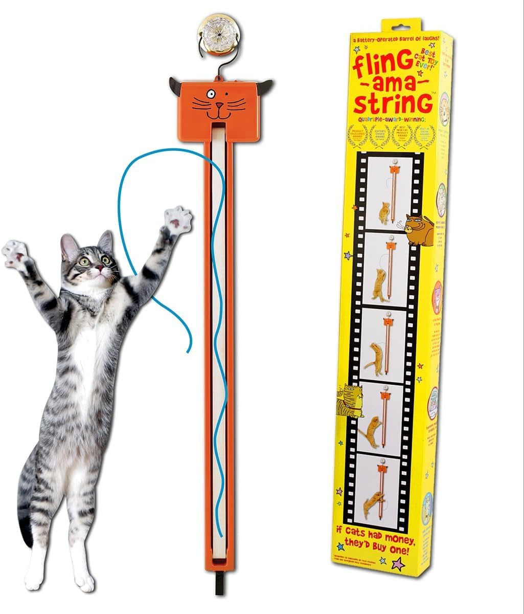 Moody Pet Fling-ama-String attached to a door knob for interactive indoor play.