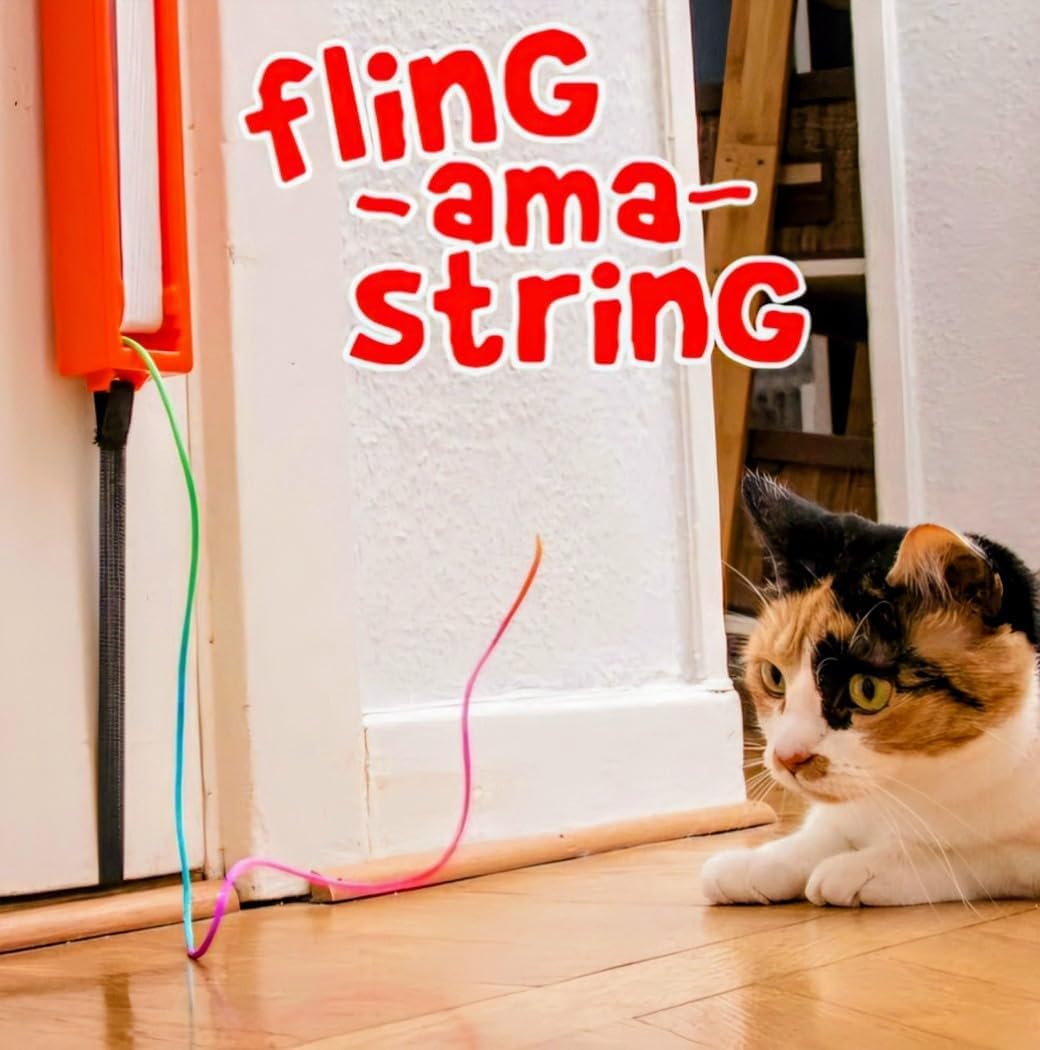 Moody Pet Fling-ama-String entertains kittens and adult cats alike.
