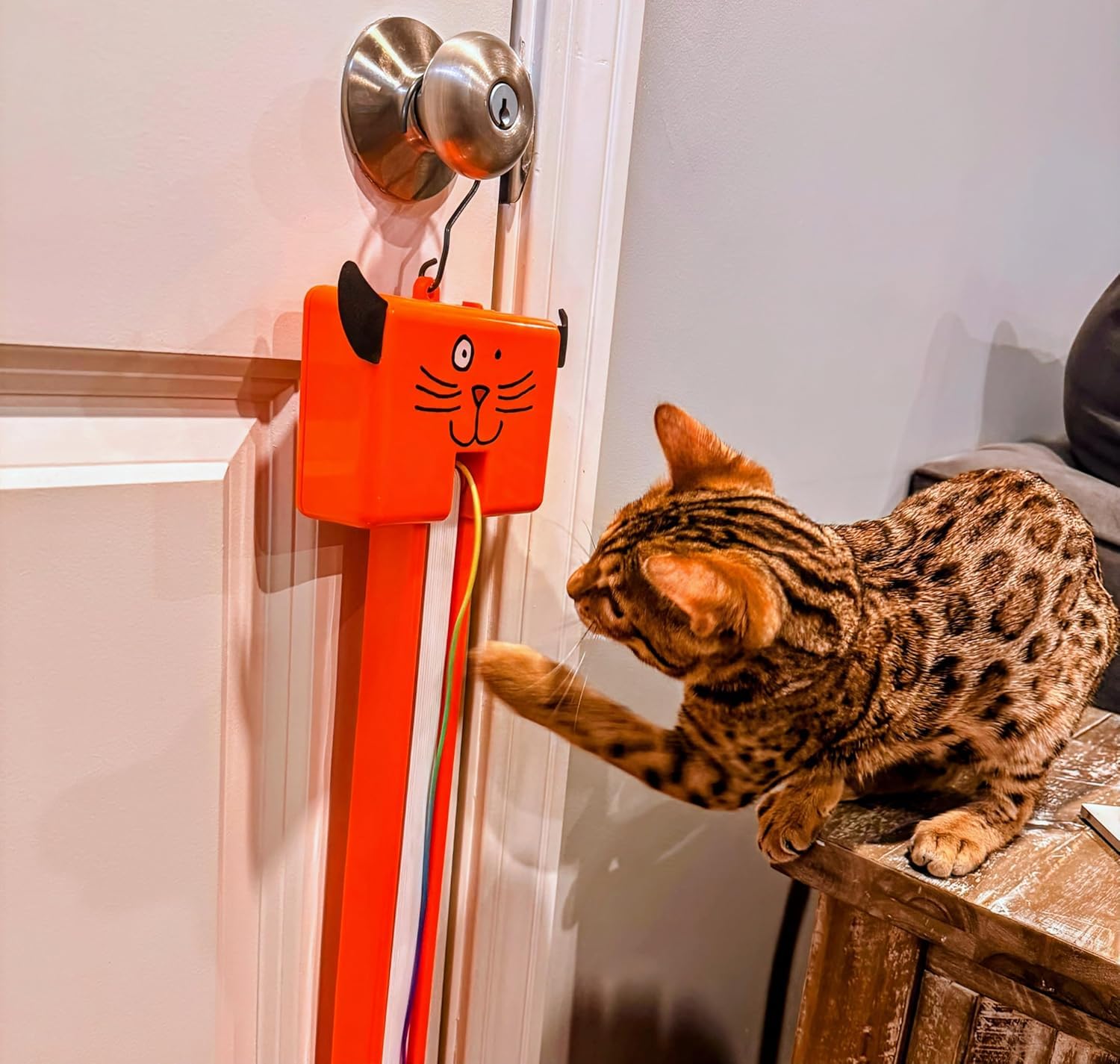 No assembly required; Moody Pet Fling-ama-String hangs on a door knob.